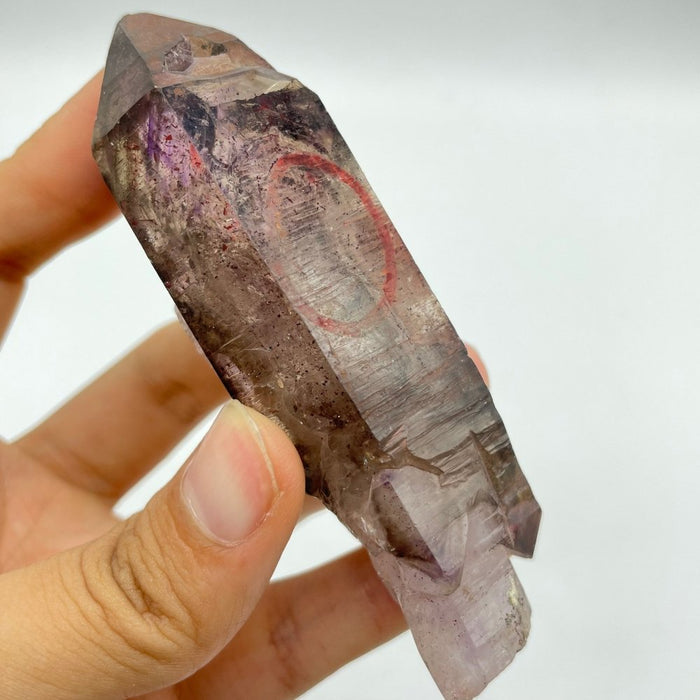 A20 Scepter Super7 Amethyst Enhydro Crystal -Wholesale Crystals