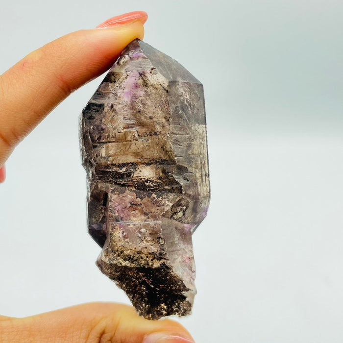 A30 Scepter Super7 Amethyst Enhydro Crystal -Wholesale Crystals