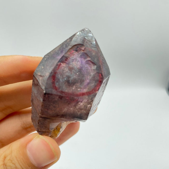 A35 Scepter Super7 Amethyst Enhydro Crystal -Wholesale Crystals