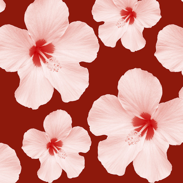 Aloha