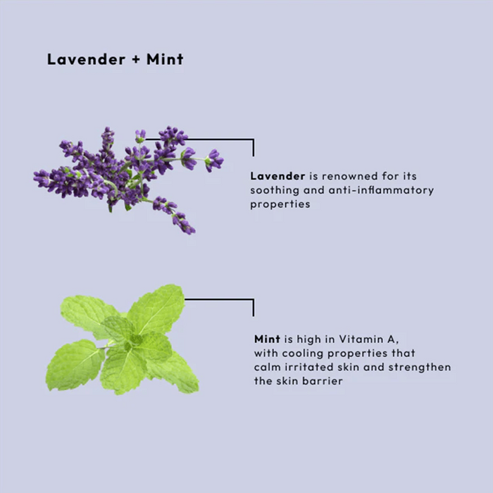 BCL Spa Organics 16oz Lavender + Mint - Cream