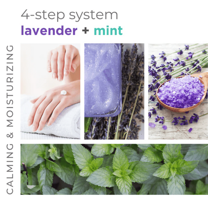 BCL Spa Organics 16oz Lavender + Mint - Mask