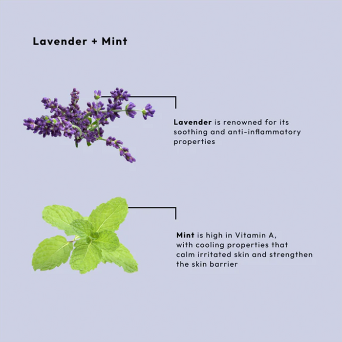 BCL Spa Organics 16oz Lavender + Mint - Scrub