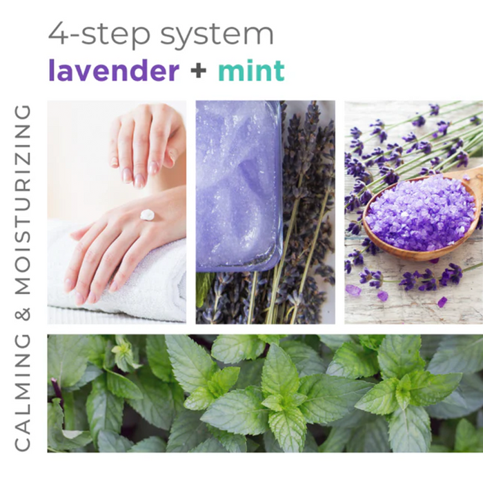 BCL Spa Organics 4-System Starter Kit - Lavender + Mint 16oz