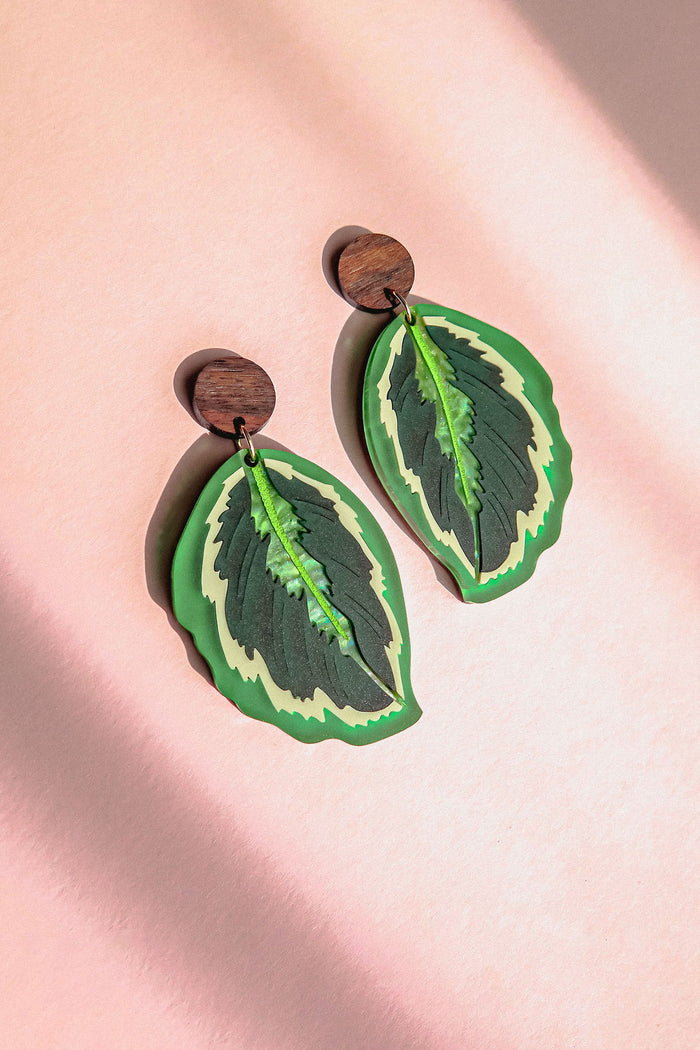 Calathea Medallion Earrings - Green - DORUZOVA