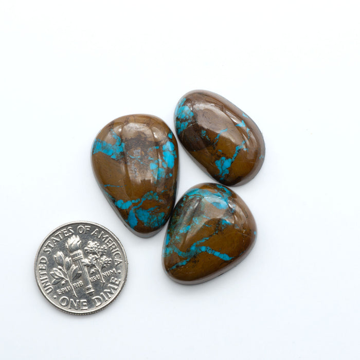 Egyptian Turquoise offers blue tones and a natural matrix on a white background, with a dime for reference. Ideal for handcrafted jewelry, custom designs, and gemstone collections.