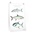Florida Inshore Grand Slam Poster Printify