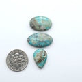 Fox Turquoise cabochons, polished gemstones with natural matrix on a white background, with a US dime for scale