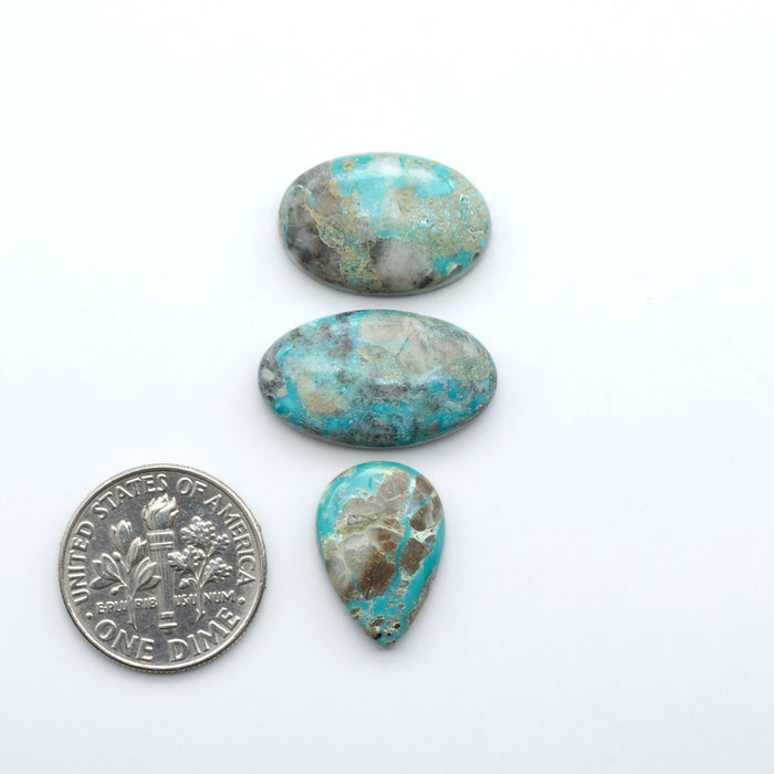 Fox Turquoise cabochons, polished gemstones with natural matrix on a white background, with a US dime for scale