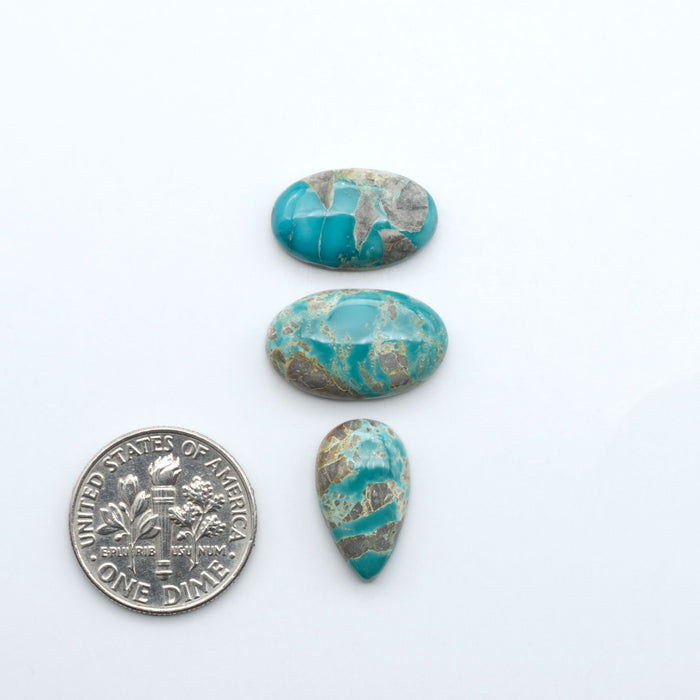 Fox Turquoise cabochons, polished gemstones with natural matrix on a white background, with a US dime for scale