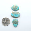Fox Turquoise cabochons, polished gemstones with natural matrix on a white background, with a US dime for scale