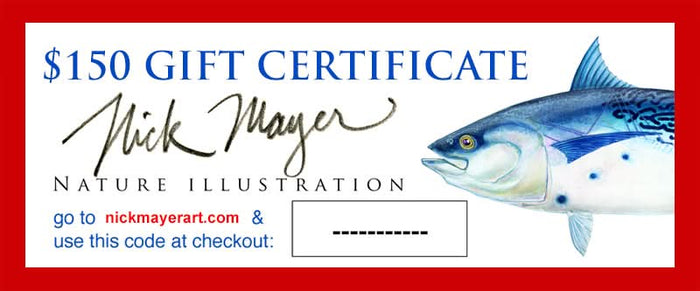 Gift Certificates $25-$500 Nick Mayer Art