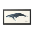 Humpback Whale Framed Canvas Print Printify