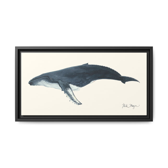 Humpback Whale Framed Canvas Print Printify