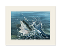 Launching Striper and Deceiver Limited Edition Print Nick Mayer