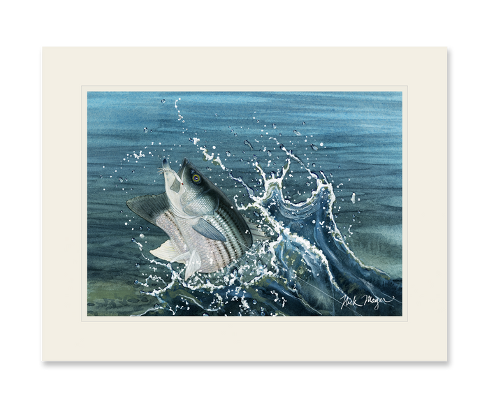 Launching Striper and Deceiver Limited Edition Print Nick Mayer