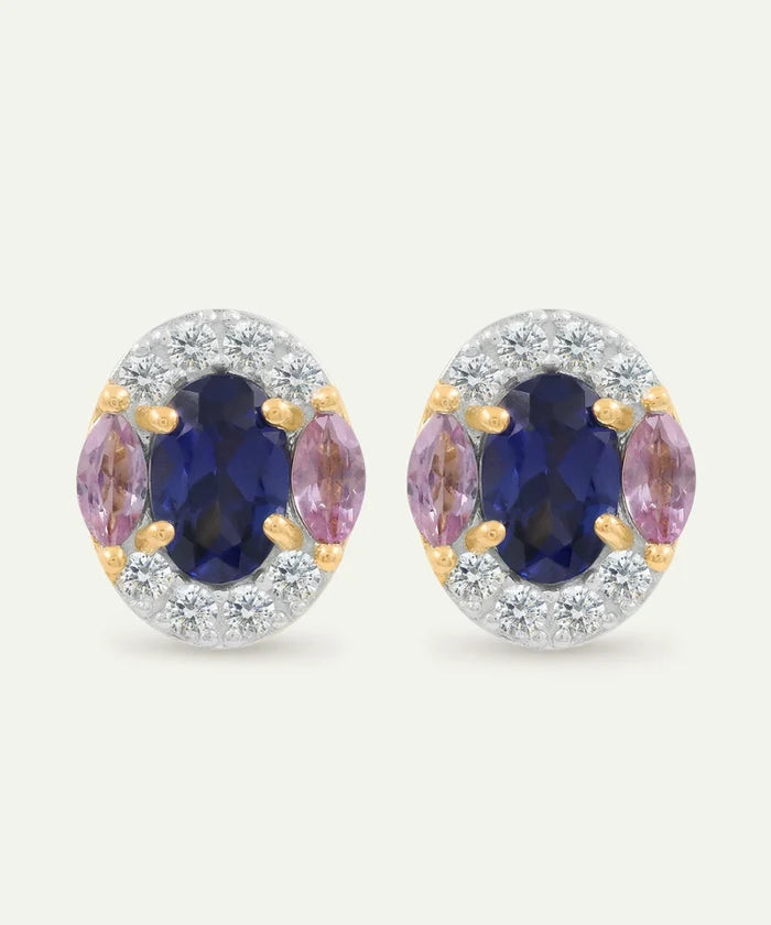 Pair of earrings with blue and pink gemstones on a white background
