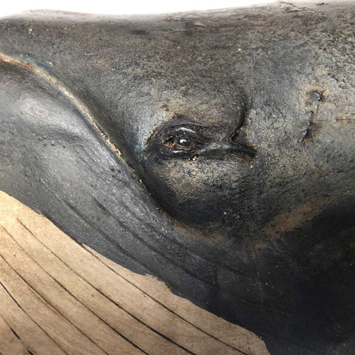 hand carved wooden minke whale wall plaque