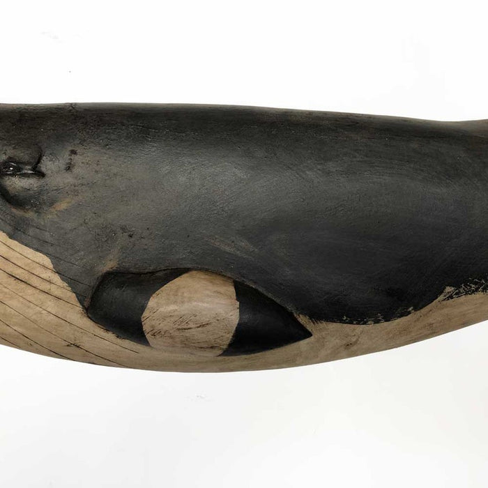 hand carved wooden minke whale wall plaque