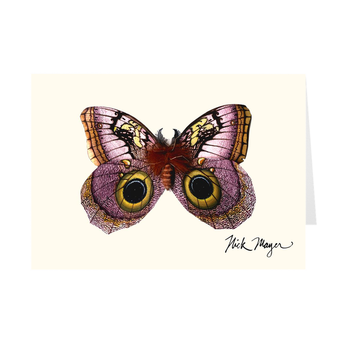 Owl Butterfly Notecards gooten