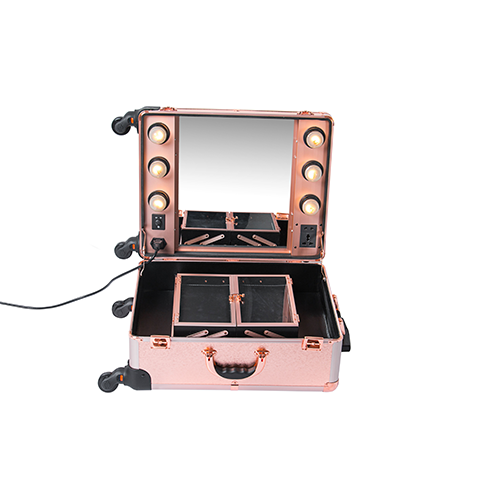 ProBeauty KC IST01L Makeup Case