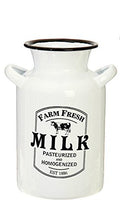 RAZ Imports Utensil Caddy Crock Holder Organizer Farm Fresh White Enamelware 8" x 5" (Milk)