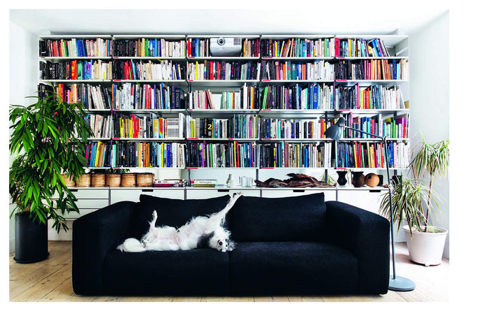 Resident Dog - Volume 2