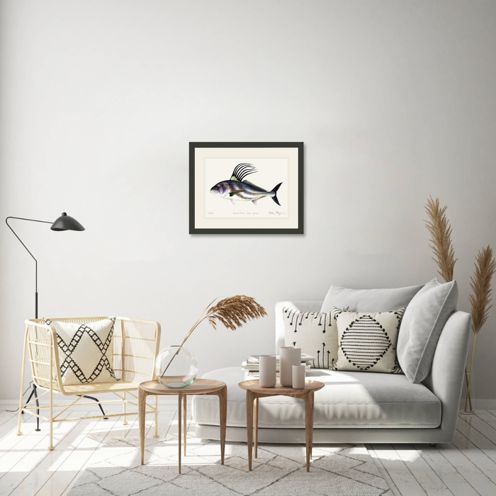 Roosterfish Limited Edition Print Nick Mayer