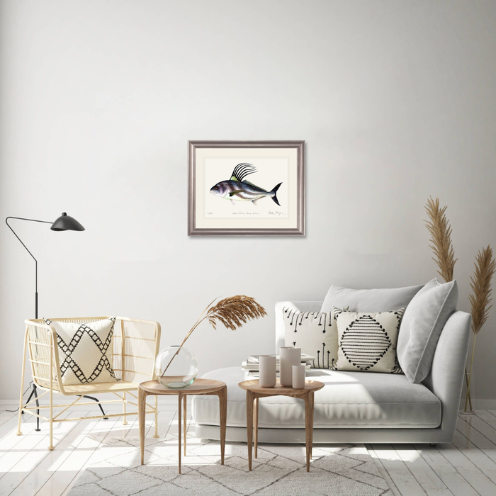 Roosterfish Limited Edition Print Nick Mayer