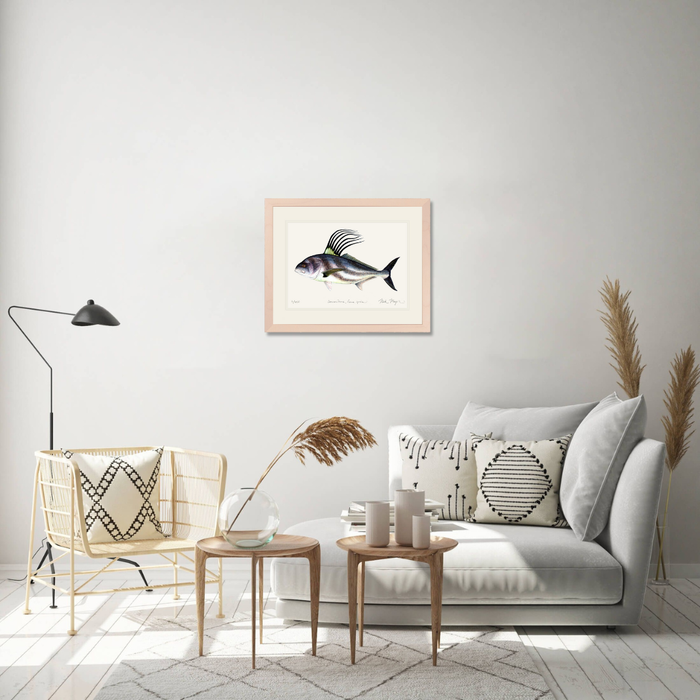 Roosterfish Limited Edition Print Nick Mayer