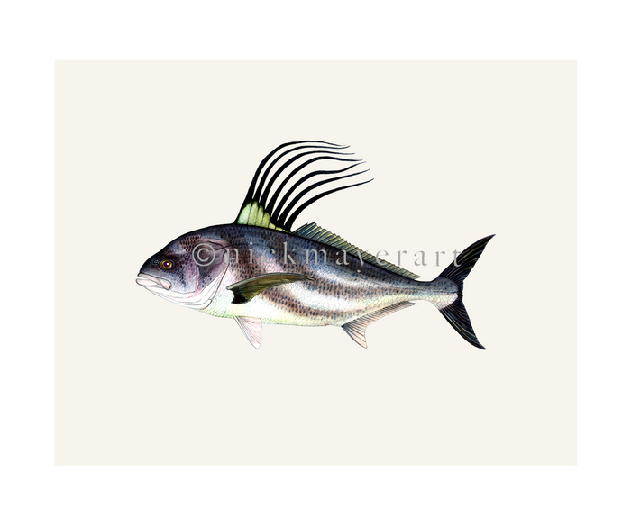 watermark