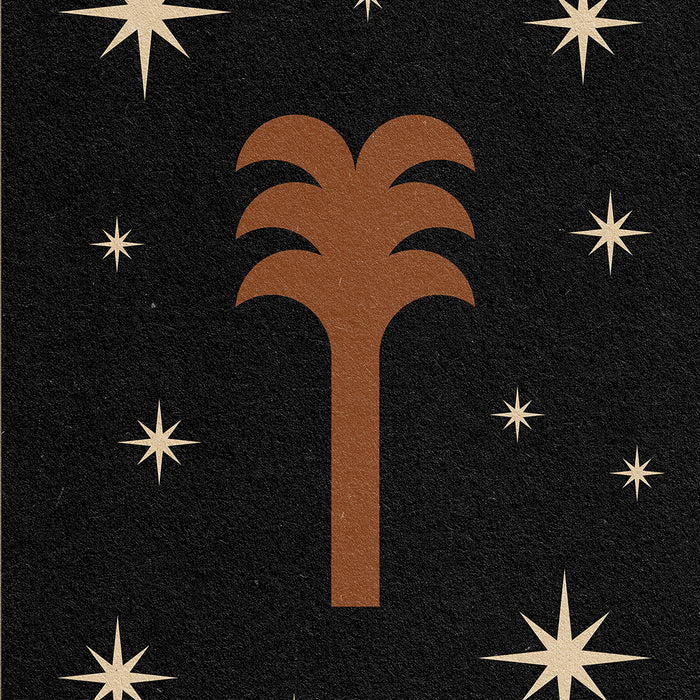 Starlit Oasis