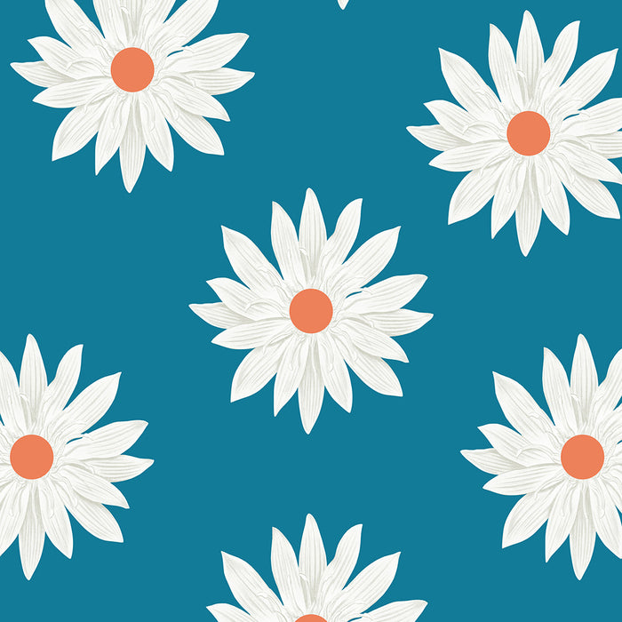 Water Lily