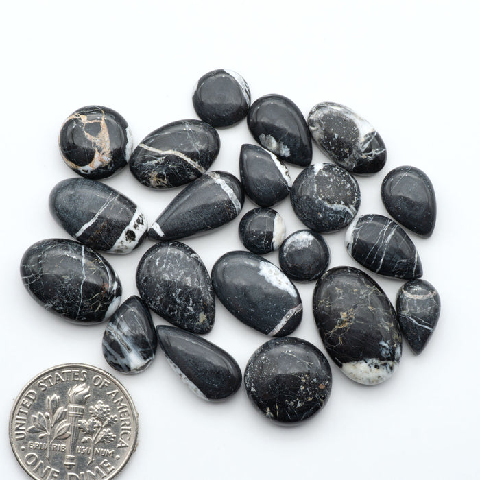 White Buffalo stone cabochons, white stone with black matrix, polished stones on a white background, with a US dime for scale