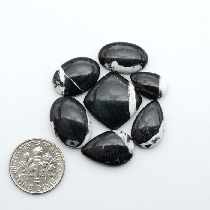 White Buffalo stone cabochons, white stone with black matrix, polished stones on a white background, with a US dime for scale