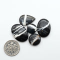 White Buffalo stone cabochons, white stone with black matrix, polished stones on a white background, with a US dime for scale