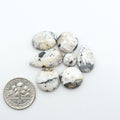 White Buffalo stone cabochons, white stone with black matrix, polished stones on a white background, with a US dime for scale