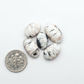 White Buffalo stone cabochons, white stone with black matrix, polished stones on a white background, with a US dime for scale