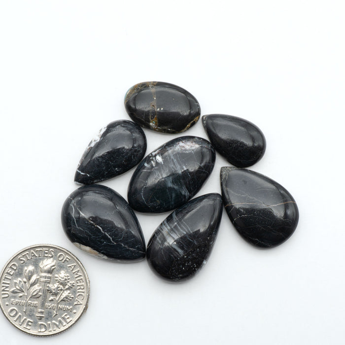 White Buffalo stone cabochons, white stone with black matrix, polished stones on a white background, with a US dime for scale