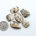Wild Horse Magnesite cabochons, white gemstones with brown matrix on a white background, with a US dime for scale